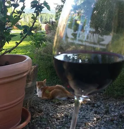 Il Cantastorie